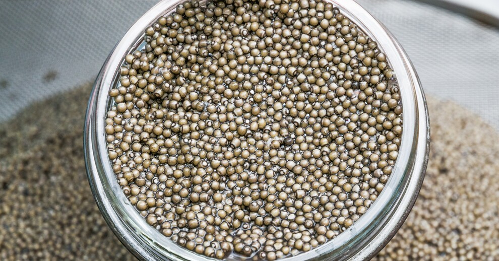 Черная икра белуги, "Russian Caviar", 250 - купить в москве по цене 27 ...